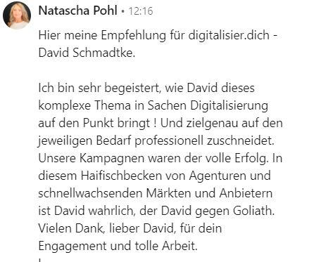 LinkedIn-Empfehlung von Natascha Pohl: 'David ist wahrlich der David gegen Goliath'